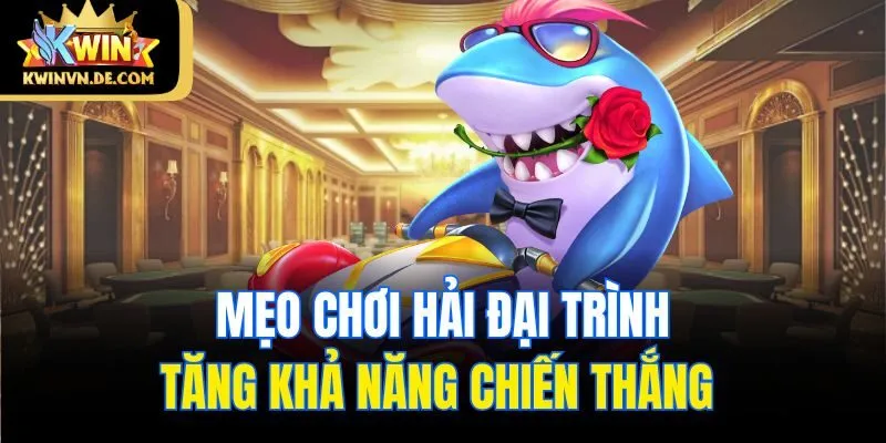 Mẹo chơi hải đại trình tăng khả năng chiến thắng